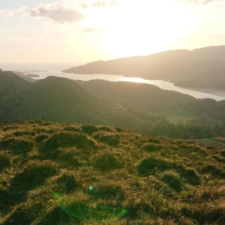 Abergwynant Farm Glamping & Apartments Dolgellau Eksteriør billede